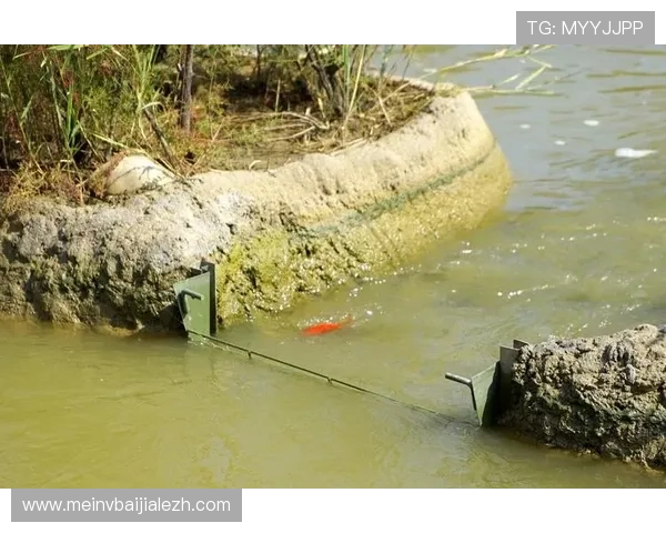 探索PA捕鱼乐园丰富多样的捕鱼玩法感受极富趣味性的海洋捕鱼乐趣