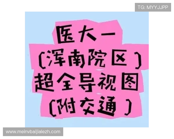 真人滚球官方地址官方公告，最新入口信息及时掌握不迷路