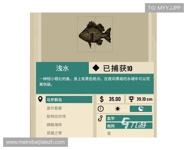 掌握K8捕鱼大师中的特殊鱼类捕获技巧提升战斗胜率